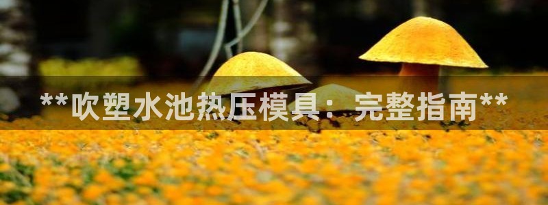 易倍网络技术有限公司怎么样：**吹塑水池热压模具：完整指