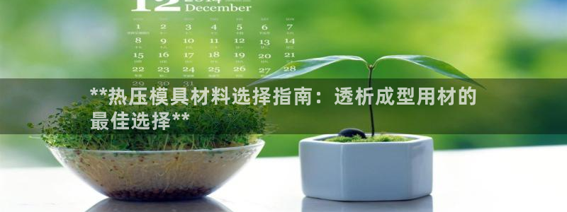 易倍单词软件：**热压模具材料选择指南：透析成型用材的
