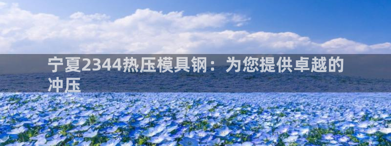 易倍申多少钱：宁夏2344热压模具钢：为您提供卓越的
冲