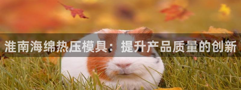 emc app下载：淮南海绵热压模具：提升产品质量的创新