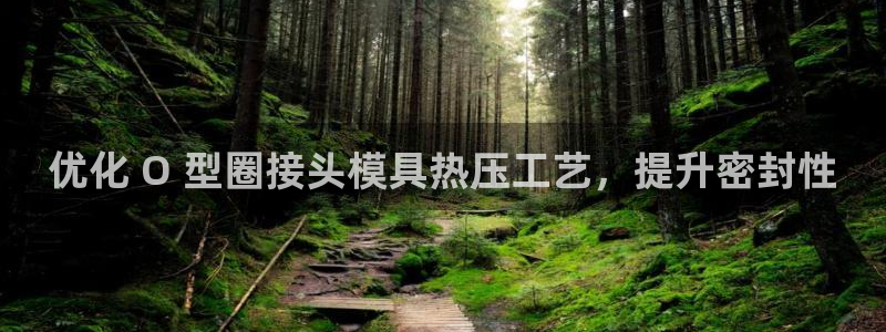 emc易倍电竞：优化 O 型圈接头模具热压工艺，提升密封