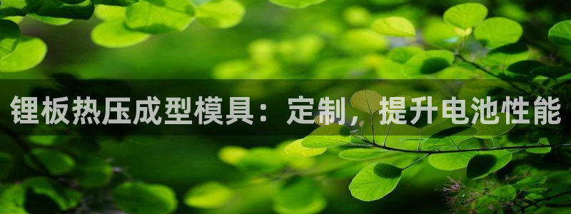 emc频率：锂板热压成型模具：定制，提升电池性能
