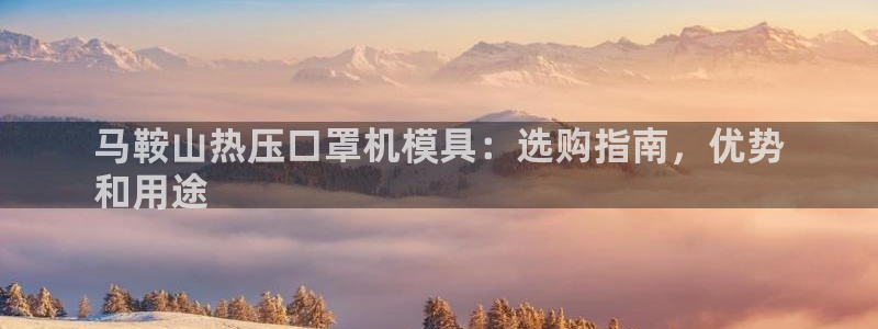 易倍申多少钱一盒：马鞍山热压口罩机模具：选购指南，优势
