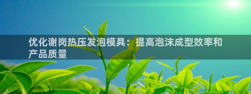 emc倍频干扰怎么解决：优化谢岗热压发泡模具：提高泡沫成