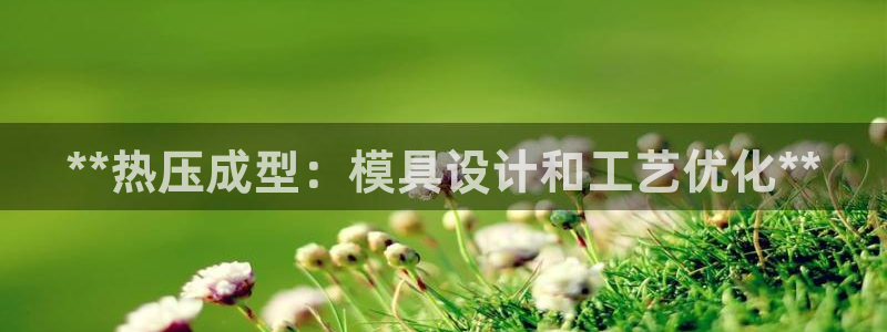 易倍纤减肥反弹不：**热压成型：模具设计和工艺优化**