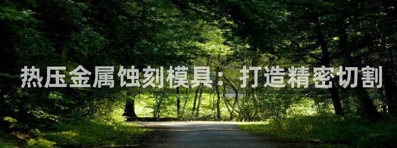 emc易倍官网app： 热压金属蚀刻模具：打造精密切割