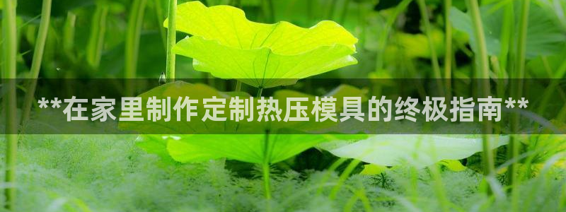 emc服务器是干啥的：**在家里制作定制热压模具的终极指