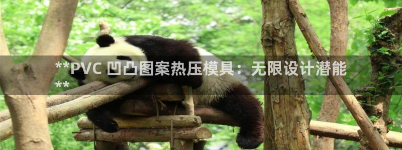易倍企业管理软件：**PVC 凹凸图案热压模具：无限设计