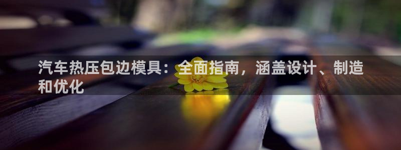 易倍申不良反应：汽车热压包边模具：全面指南，涵盖设计、制