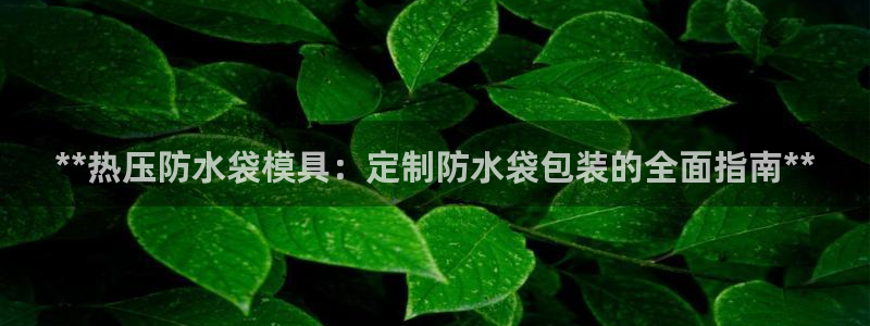 emc下载：**热压防水袋模具：定制防水袋包装的全面指南