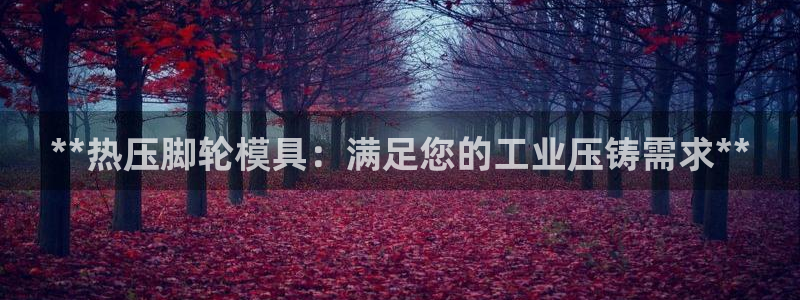 易倍单词官方网站登录：**热压脚轮模具：满足您的工业压铸