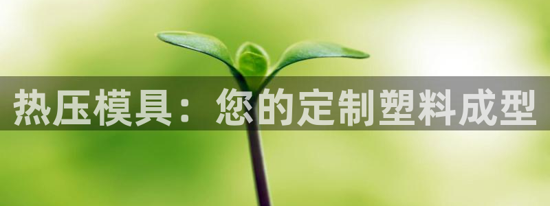 易倍网络技术有限公司怎么样：热压模具：您的定制塑料成型
