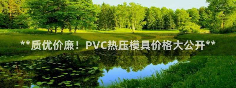 易倍申生产厂家：**质优价廉！PVC热压模具价格大公开*