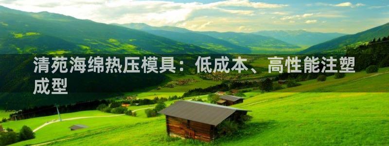 易倍申医保报销：清苑海绵热压模具：低成本、高性能注塑
成
