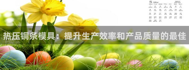 EMC易倍官方网址：热压铜条模具：提升生产效率和产品质量