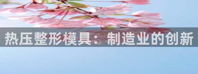 易倍单词平台：热压整形模具：制造业的创新