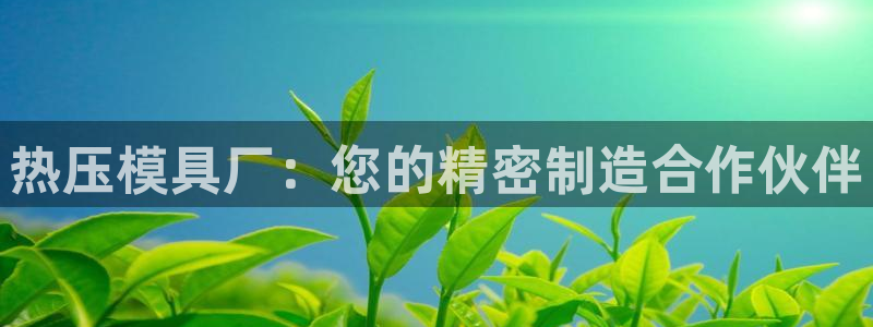 易倍emc网址：热压模具厂：您的精密制造合作伙伴