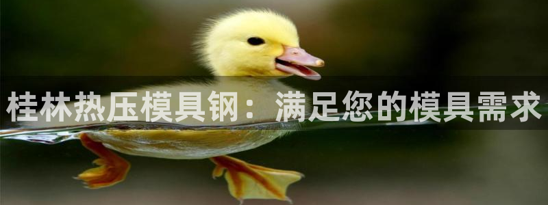 emc易倍官网首页进入：桂林热压模具钢：满足您的模具需求