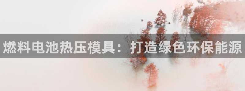 emc全站ag：燃料电池热压模具：打造绿色环保能源