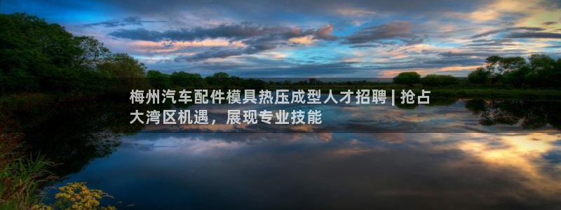 杭州易倍达：梅州汽车配件模具热压成型人才招聘 | 抢占
