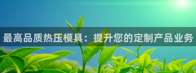易倍申厂家：最高品质热压模具：提升您的定制产品业务