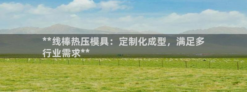 易倍单词官方网站登录：**线棒热压模具：定制化成型，满足