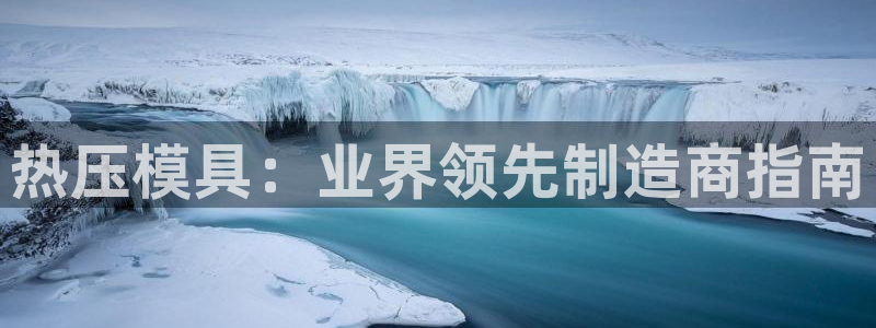 易倍网络技术有限公司官网：热压模具：业界领先制造商指南