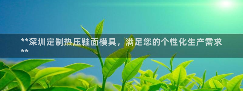 emc软件下载：**深圳定制热压鞋面模具，满足您的个性化