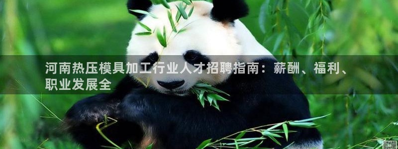 emc易倍账号异常：河南热压模具加工行业人才招聘指南：薪