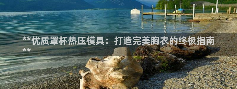 emc易倍首页：**优质罩杯热压模具：打造完美胸衣的终极