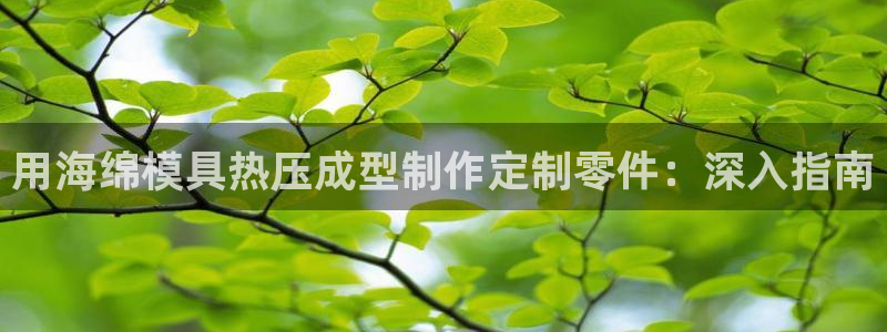 易倍电竞：用海绵模具热压成型制作定制零件：深入指南