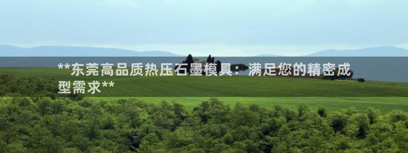 易倍达科技有限公司代运营：**东莞高品质热压石墨模具：满