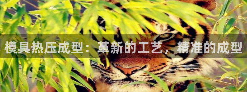 易倍申片：模具热压成型：革新的工艺，精准的成型