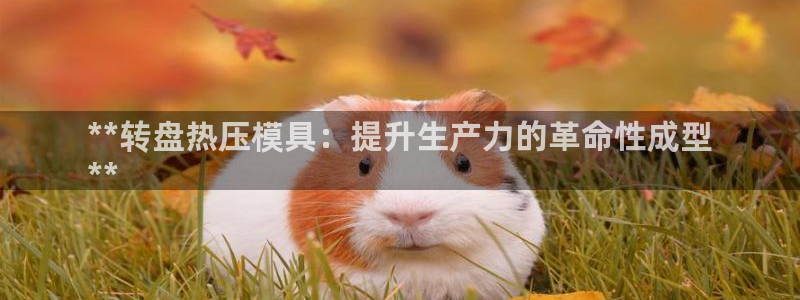易倍申和易倍清的区别：**转盘热压模具：提升生产力的革命