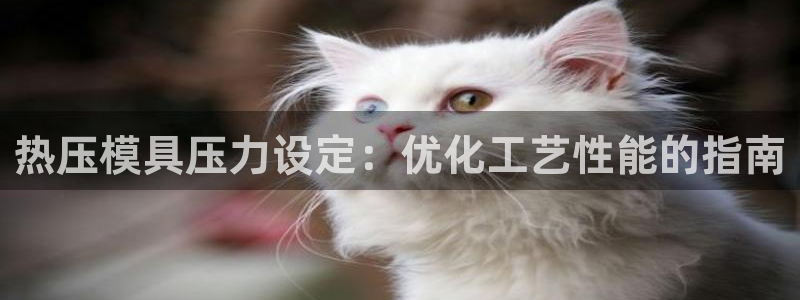 emc倍频干扰怎么解决：热压模具压力设定：优化工艺性能的