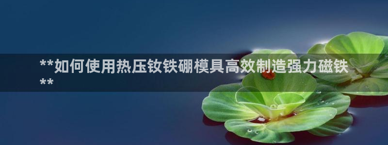 易倍申的包装规格：**如何使用热压钕铁硼模具高效制造强力