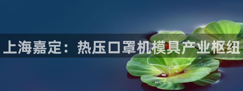emc易倍官方：上海嘉定：热压口罩机模具产业枢纽