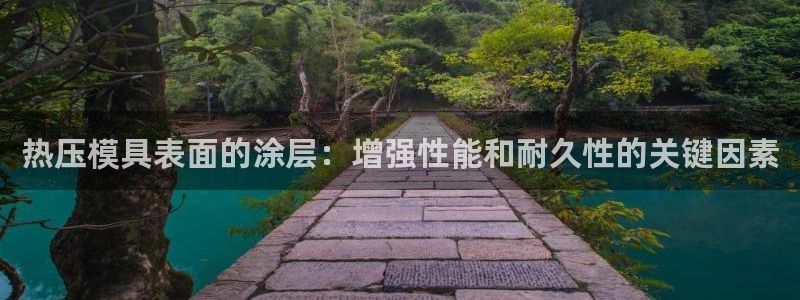 易倍申多少钱一盒：热压模具表面的涂层：增强性能和耐久性的