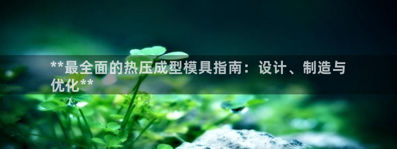 易倍app官网下载：**最全面的热压成型模具指南：设计、