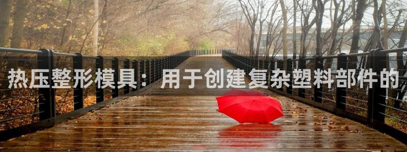 易倍申安理申区别：热压整形模具：用于创建复杂塑料部件的