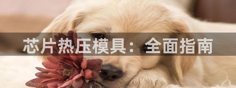 北京易倍思教育科技有限公司：芯片热压模具：全面指南