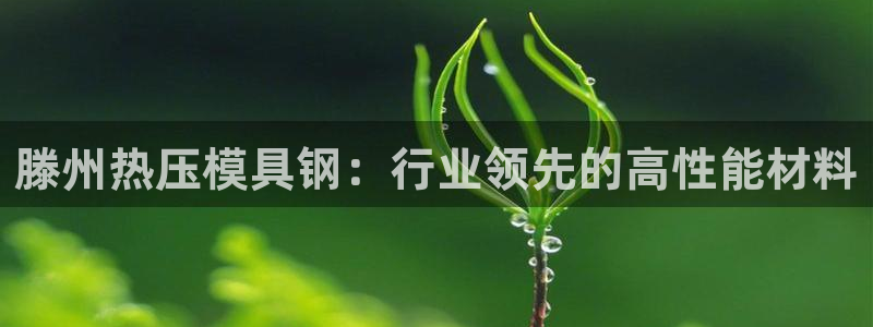 易倍单词软件：滕州热压模具钢：行业领先的高性能材料