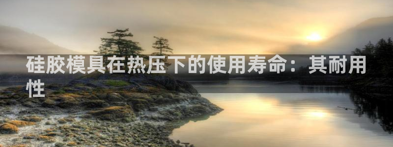 易倍达科技有限公司官网：硅胶模具在热压下的使用寿命：其耐