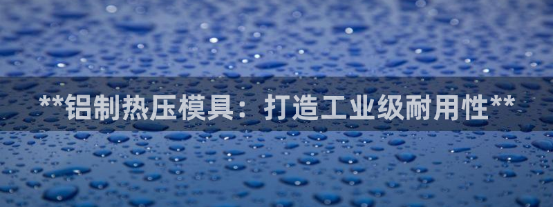 易倍易趣网：**铝制热压模具：打造工业级耐用性**