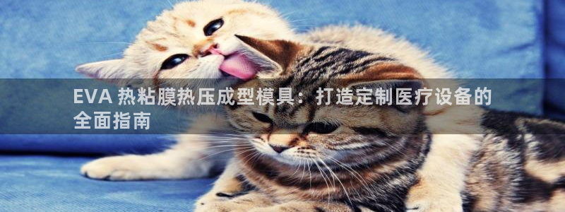 易倍申效果怎么样：EVA 热粘膜热压成型模具：打造定制医