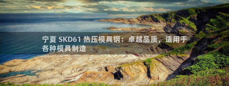易倍申每盒价格是多少?：宁夏 SKD61 热压模具钢：卓
