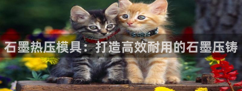 emc倍频超了：石墨热压模具：打造高效耐用的石墨压铸