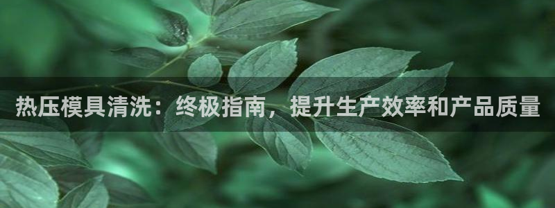 emc易倍官网app下载：热压模具清洗：终极指南，提升生