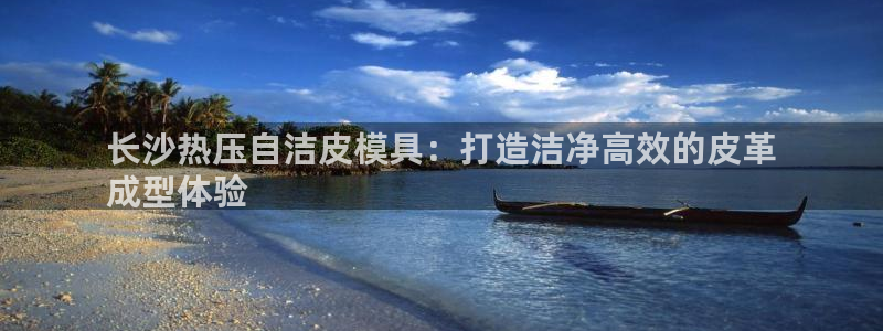 emcbet全站：长沙热压自洁皮模具：打造洁净高效的皮革