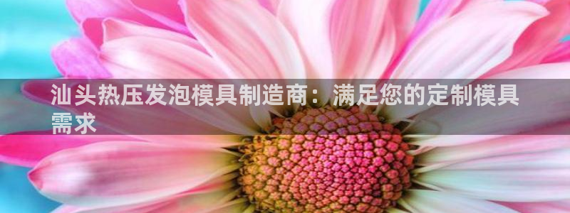 易倍单词官方网站的：汕头热压发泡模具制造商：满足您的定制